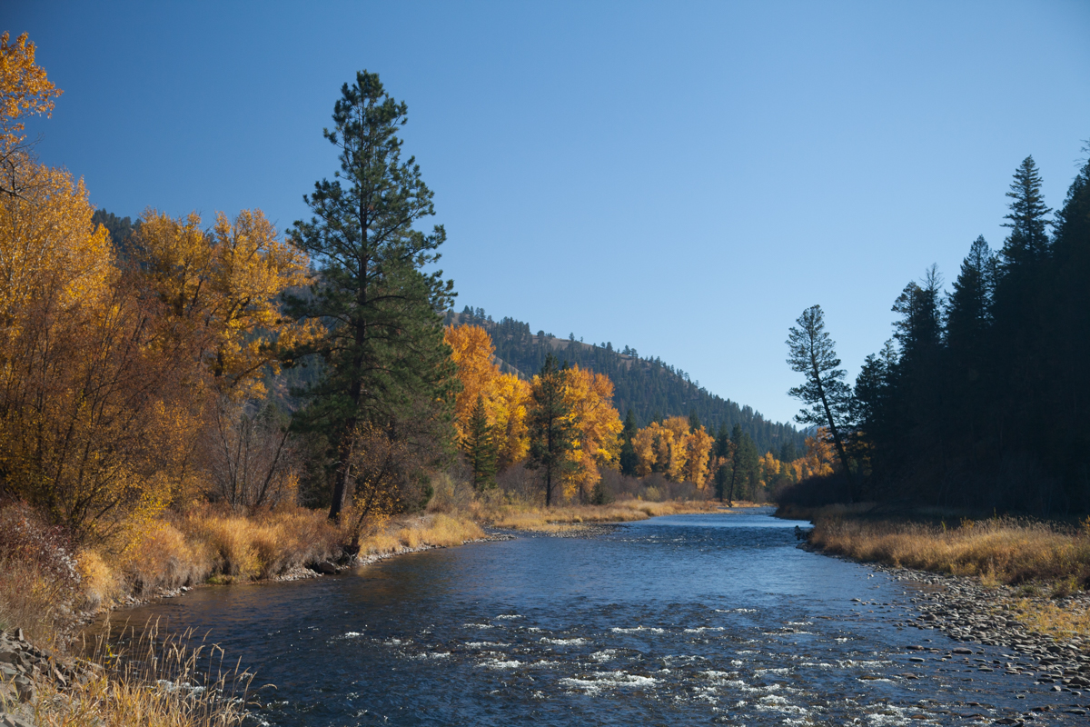 Fall Foliage on Rock Creek